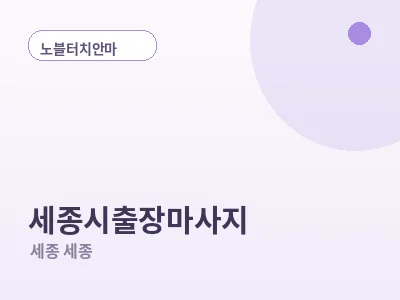 세종 세종시 출장마사지