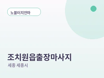 세종 조치원읍 출장마사지