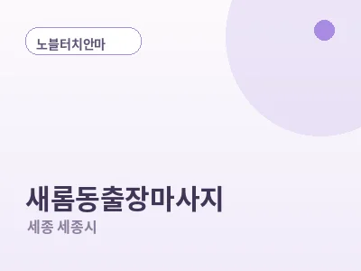 세종 새롬동 출장마사지