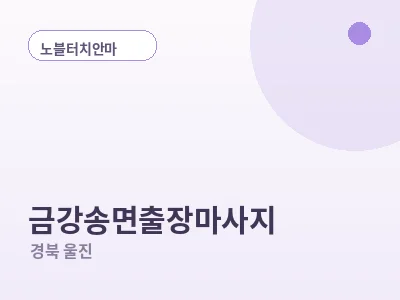 울진 금강송면 출장마사지